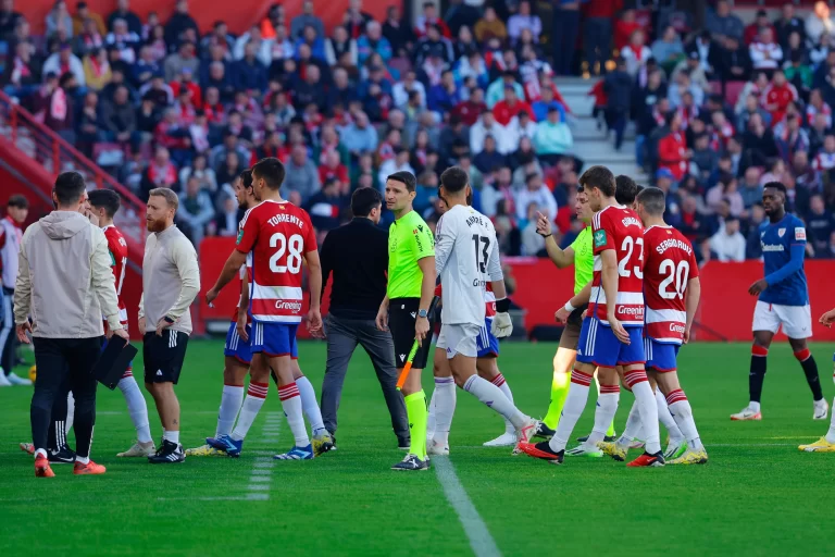 referee-decides-leave-pitch-match-865389642