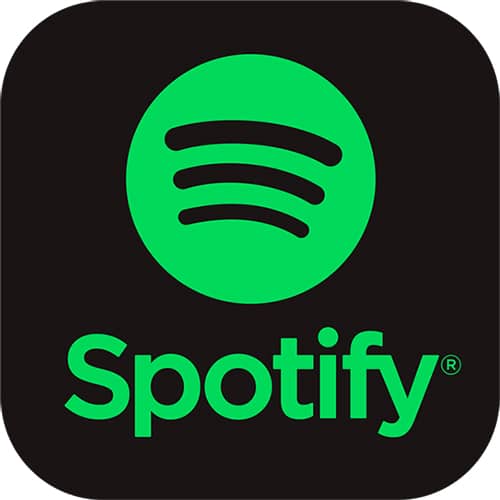 spotify-adds-music-videos-to-output