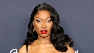 Megan Thee Stallion accused of harassment by cameraman 