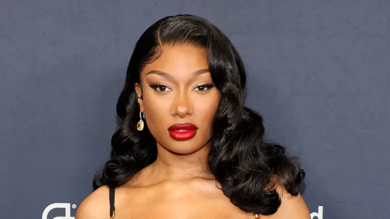 Megan Thee Stallion accused of harassment by cameraman