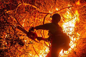 Firefighters  Race to Contain Los Angeles Wildfires as 24 Confirmed Dead