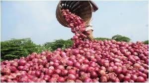 Onion Farmers Link Price Hike and Scarcity to Flood, Climate Change