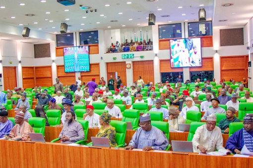 Reps Halt CBN ATM Fee Hike, Order Porn Site Ban