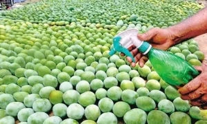 Senate Targets Harmful Fruit Ripening Chemicals