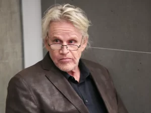 Gary Busey Pleads Guilty to Sexual Contact Charge