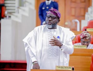Lagos Lawmaker Urges Global Support for Tinubu’s Administration